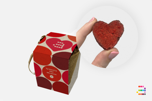 Apunts maceta SANT JORDI_ESP